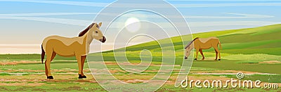 Two brown horses graze in a meadow. Hills covered with grass Vector Illustration